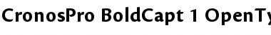 Download Cronos Pro Bold Caption Font Title Preview