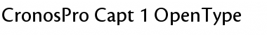 Download Cronos Pro Caption Font Title Preview