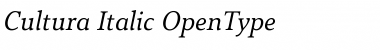 Download Cultura Italic Font Title Preview