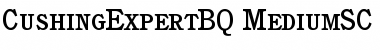 Download Cushing Expert BQ Regular Font Title Preview