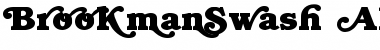 Download BrookmanSwash Alternates MEG Bold Font Title Preview
