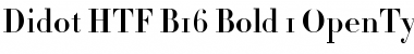 Download Didot HTF-B16-Bold Font Title Preview