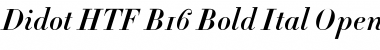 Download Didot HTF-B16-Bold-Ital Font Title Preview