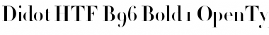 Download Didot HTF-B96-Bold Font Title Preview