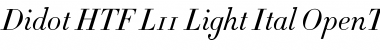 Download Didot HTF-L11-Light-Ital Font Title Preview