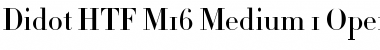 Download Didot HTF-M16-Medium Font Title Preview