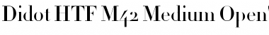 Download Didot HTF-M42-Medium Font Title Preview