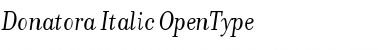 Download Donatora Italic Font Title Preview