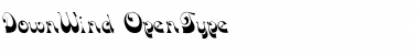 Download DownWind Regular Font Title Preview