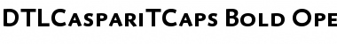 Download DTLCaspariTCaps Bold Font Title Preview