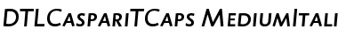 Download DTLCaspariTCaps MediumItalic Font Title Preview