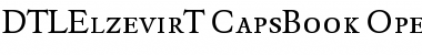 Download DTL Elzevir T Caps Book Font Title Preview