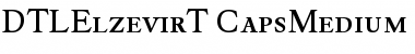Download DTL Elzevir T Caps Medium Font Title Preview