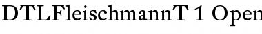 Download DTLFleischmannT Regular Font Title Preview