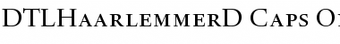 Download DTL Haarlemmer D Caps Regular Font Title Preview