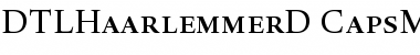 Download DTL Haarlemmer D Caps Medium Font Title Preview