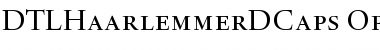 Download DTLHaarlemmerDCaps Regular Font Title Preview