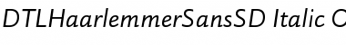 Download DTLHaarlemmerSansSD Italic Font Title Preview