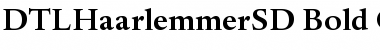 Download DTLHaarlemmerSD Bold Font Title Preview