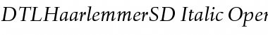 Download DTLHaarlemmerSD Italic Font Title Preview