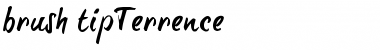 Download brush-tipTerrence Regular Font Title Preview