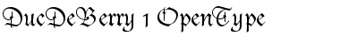 Download Duc De Berry Roman Font Title Preview