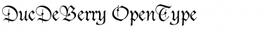Download Duc De Berry Regular Font Title Preview