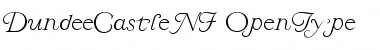 Download Dundee Castle NF Regular Font Title Preview