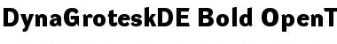 Download DynaGrotesk DE Bold Font Title Preview