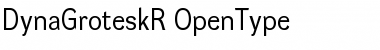Download DynaGrotesk R Regular Font Title Preview