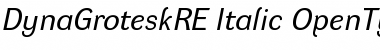 Download DynaGrotesk RE Italic Font Title Preview