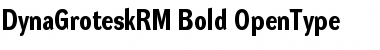 Download DynaGrotesk RM Bold Font Title Preview