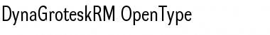 Download DynaGrotesk RM Regular Font Title Preview