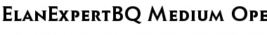Download Elan Expert BQ Regular Font Title Preview