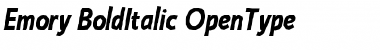 Download Emory Bold Italic Font Title Preview