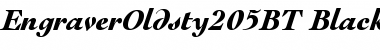 Download Engravers' Oldstyle 205 Black Italic Font Title Preview