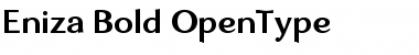 Download Eniza Bold Font Title Preview