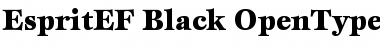 Download EspritEF Black Font Title Preview