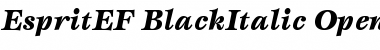 Download EspritEF BlackItalic Font Title Preview