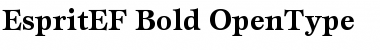 Download EspritEF Bold Font Title Preview