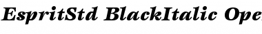 Download ITC Esprit Std Black Italic Font Title Preview
