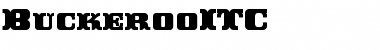 Download BuckerooITC Black Font Title Preview