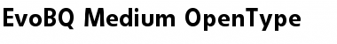 Download Evo BQ Regular Font Title Preview