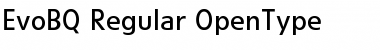 Download Evo BQ Regular Font Title Preview