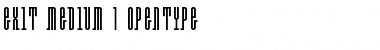 Download Exit Medium Font Title Preview