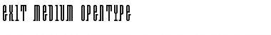 Download Exit Medium Font Title Preview