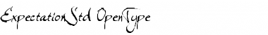 Download Expectation Std Regular Font Title Preview