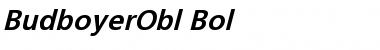 Download BudboyerObl-Bol Regular Font Title Preview