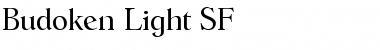 Download Budoken Light SF Regular Font Title Preview