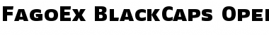 Download FagoEx BlackCaps Font